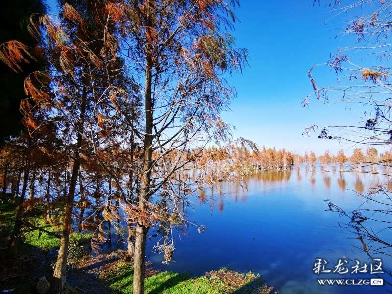 硬核追星！王俊凯终于亲自给偶像庆生，连续六年发文为周杰伦庆生