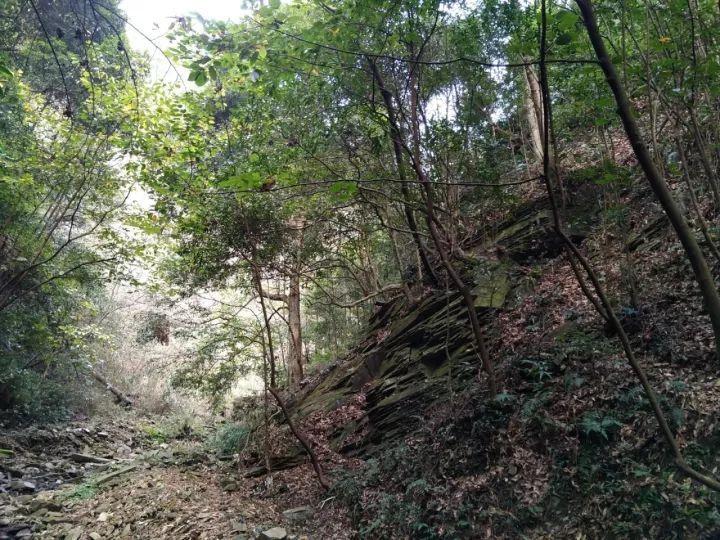 金庸群侠传
