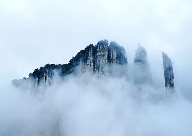 寻找丢失的婴儿