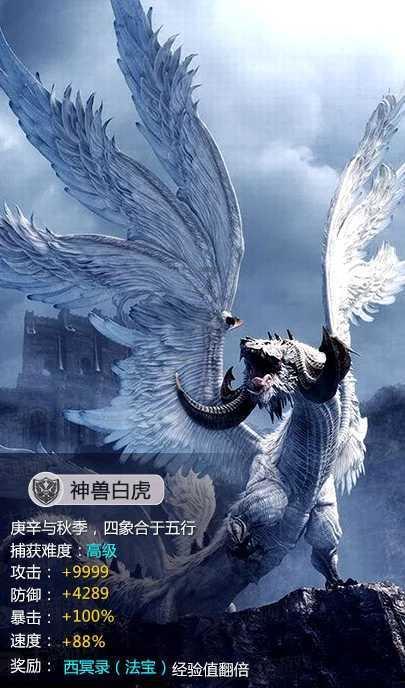 疯狂之冠