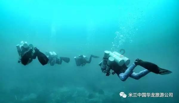 战僵特警