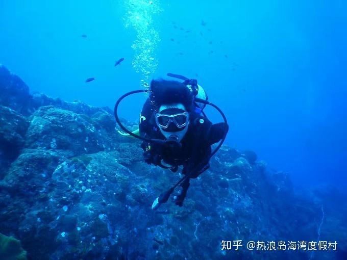 口袋侏罗纪