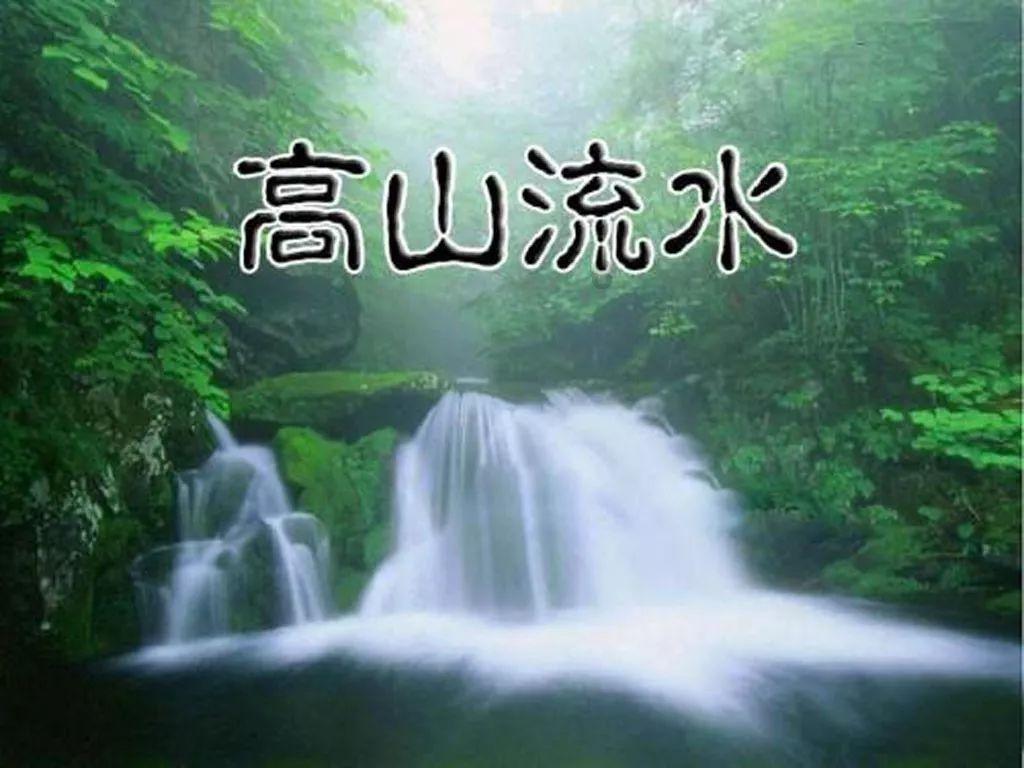 逃离野丛之森