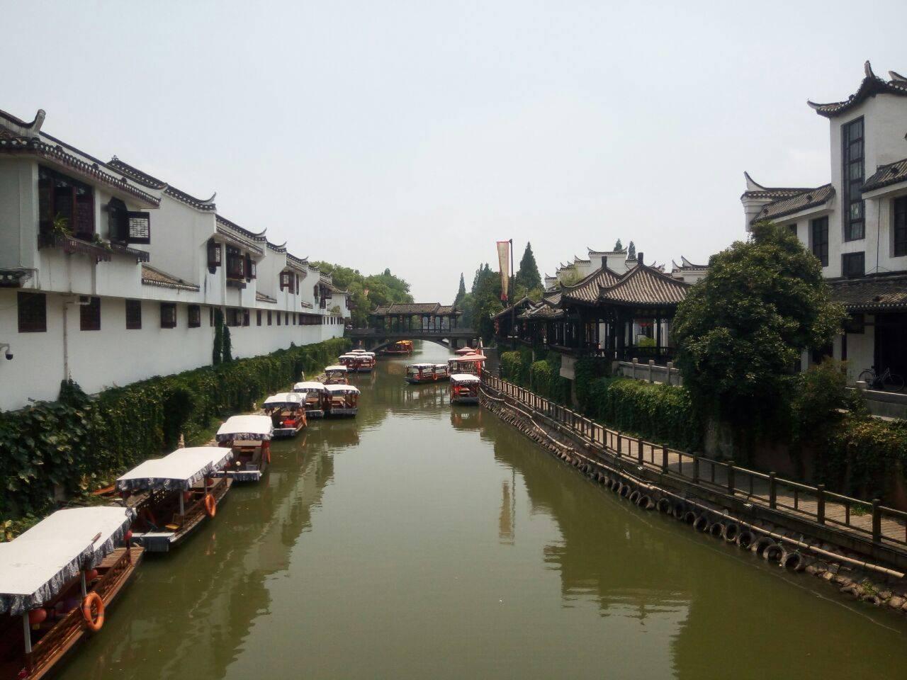 空气凤梨该怎么养嘞？游戏画面