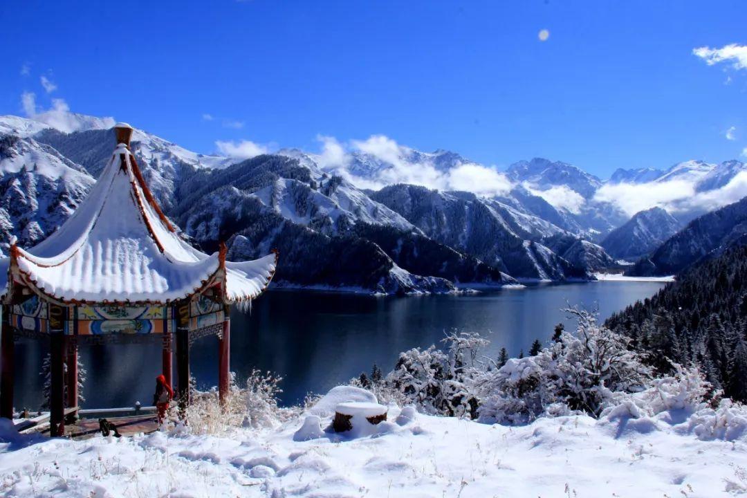 万词王